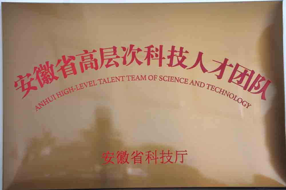 安徽省高層次人才團隊